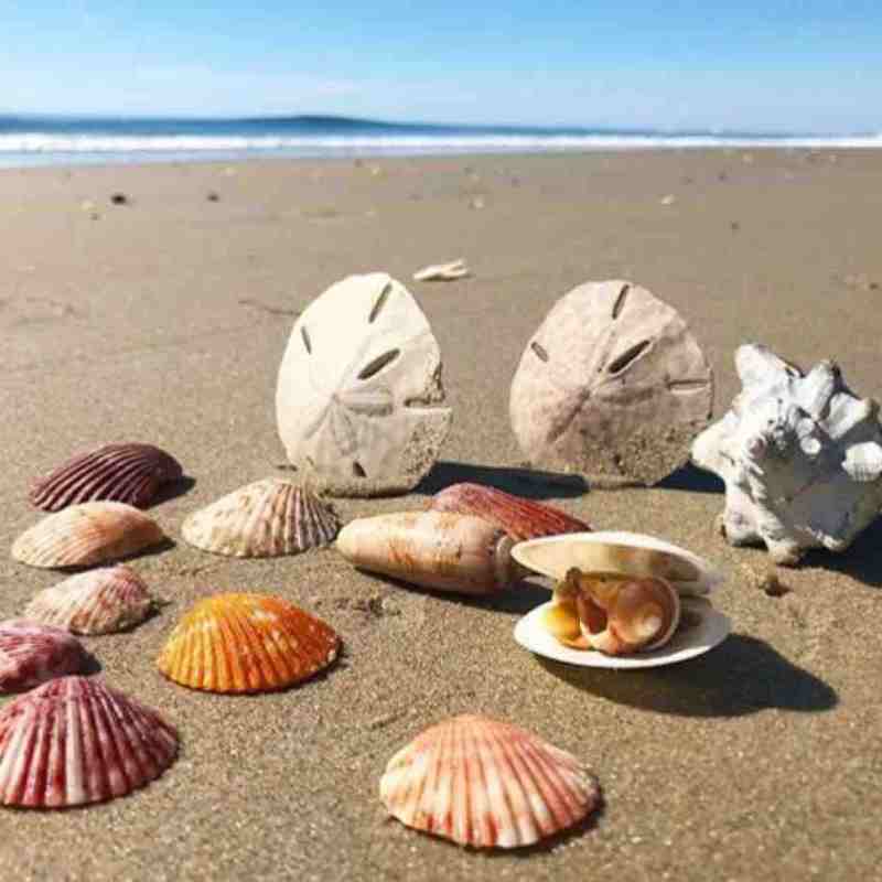 LocumStory Blog Repost: Choosing a Locum Assignment: What to Ask and What to Avoid